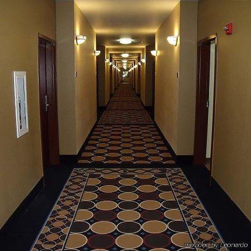 Irish Inn And Suites Muleshoe Bagian luar foto