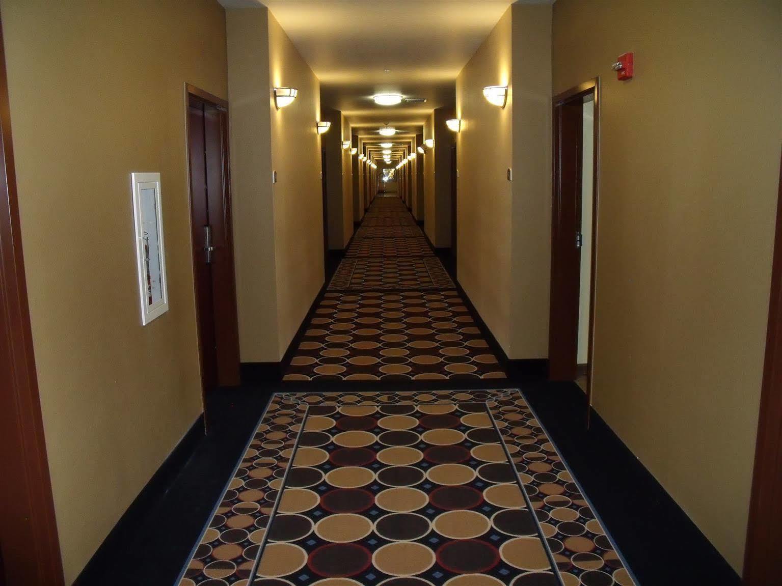 Irish Inn And Suites Muleshoe Bagian luar foto
